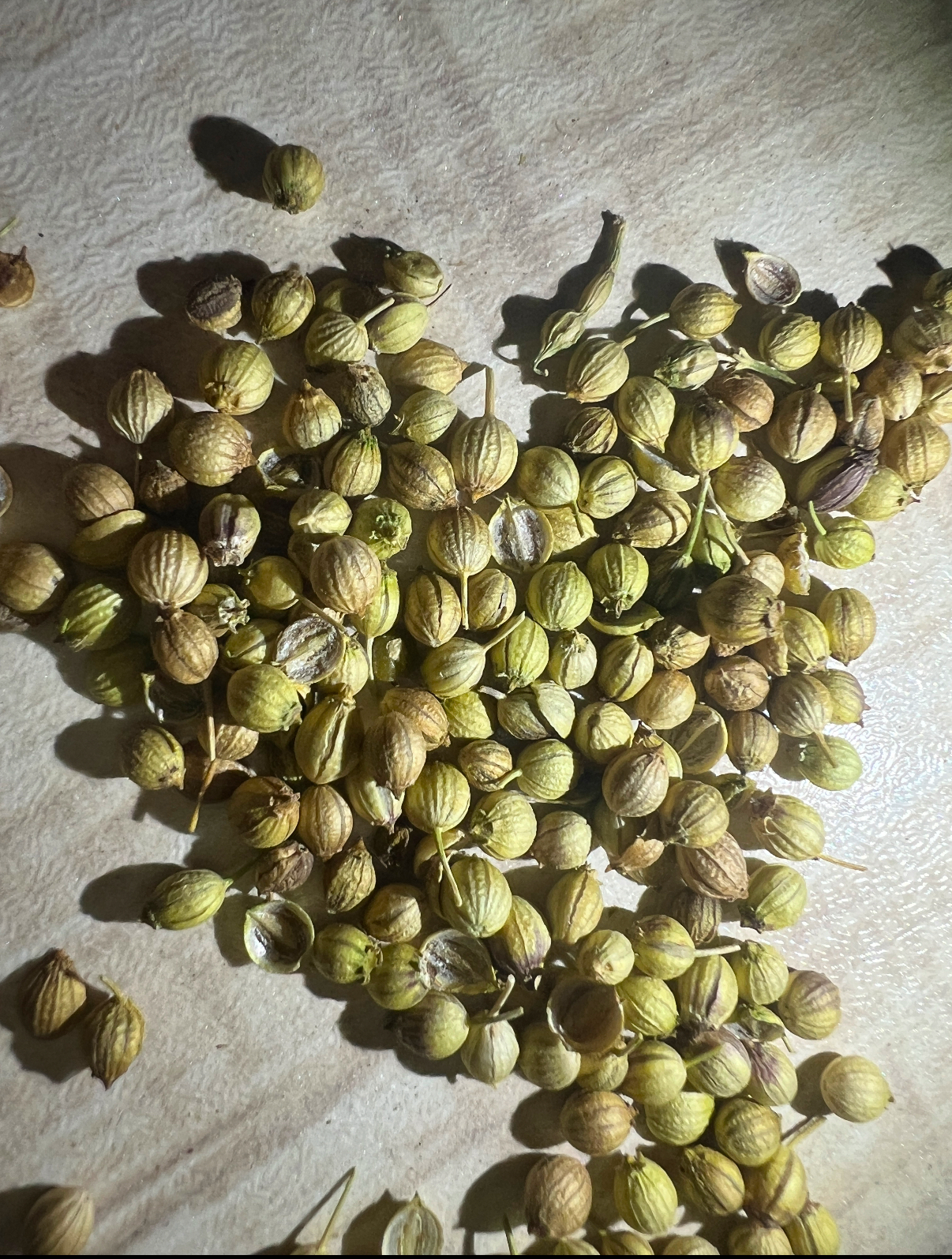 گیاهان دارویی،عطاری