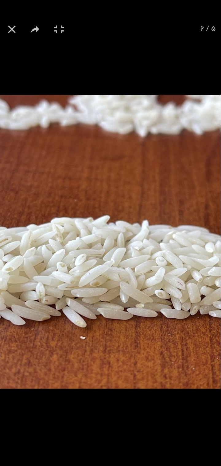 برنج گیلان 