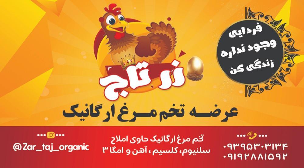 تخم مرغ محلی