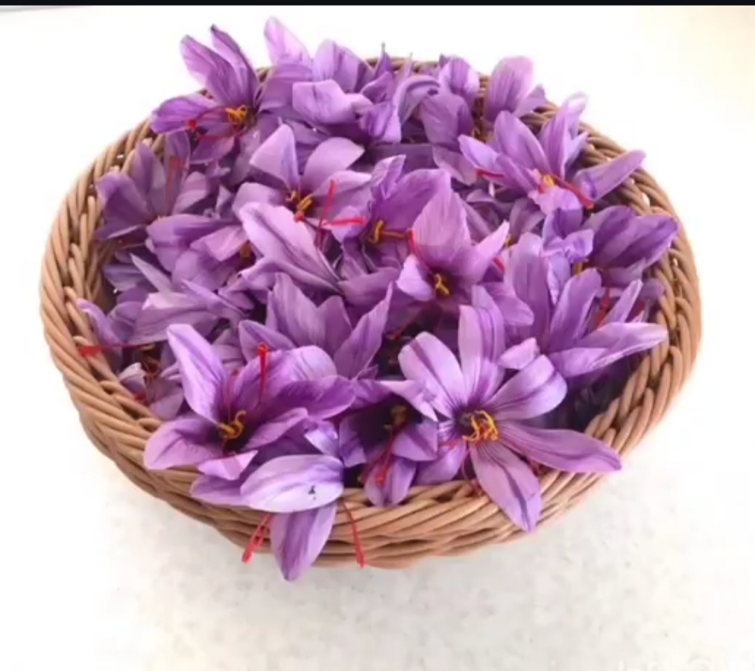 زعفران خالص 
