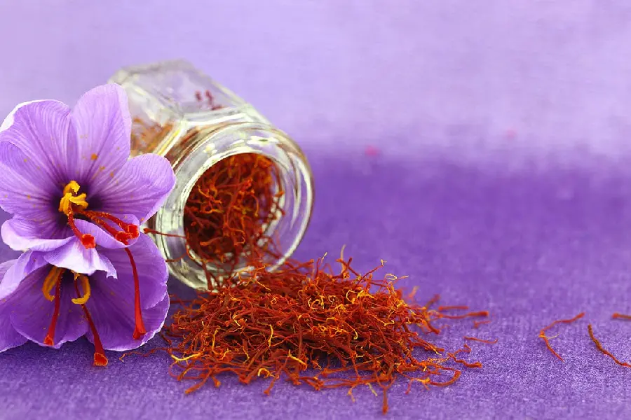 زعفران و زرشک گناباد 