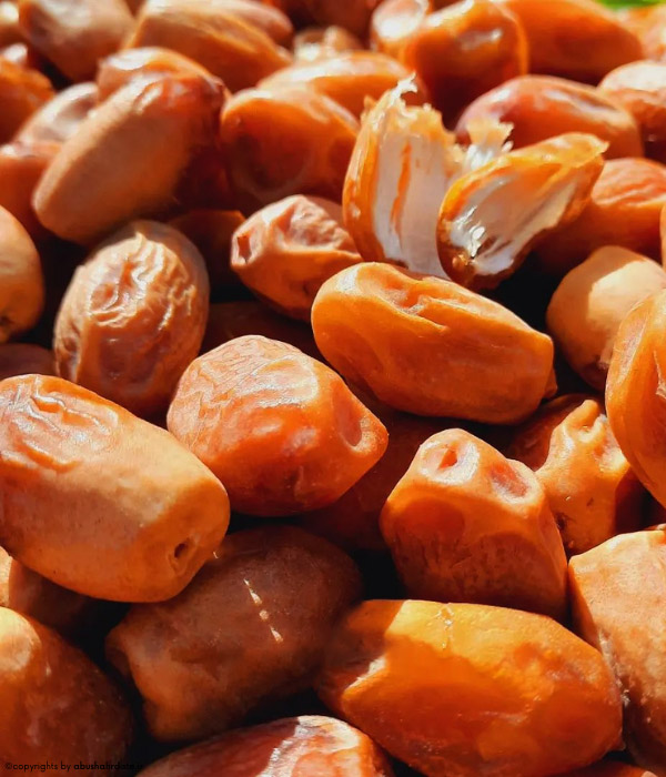خرمای زاهدی صادراتی و داخلی
