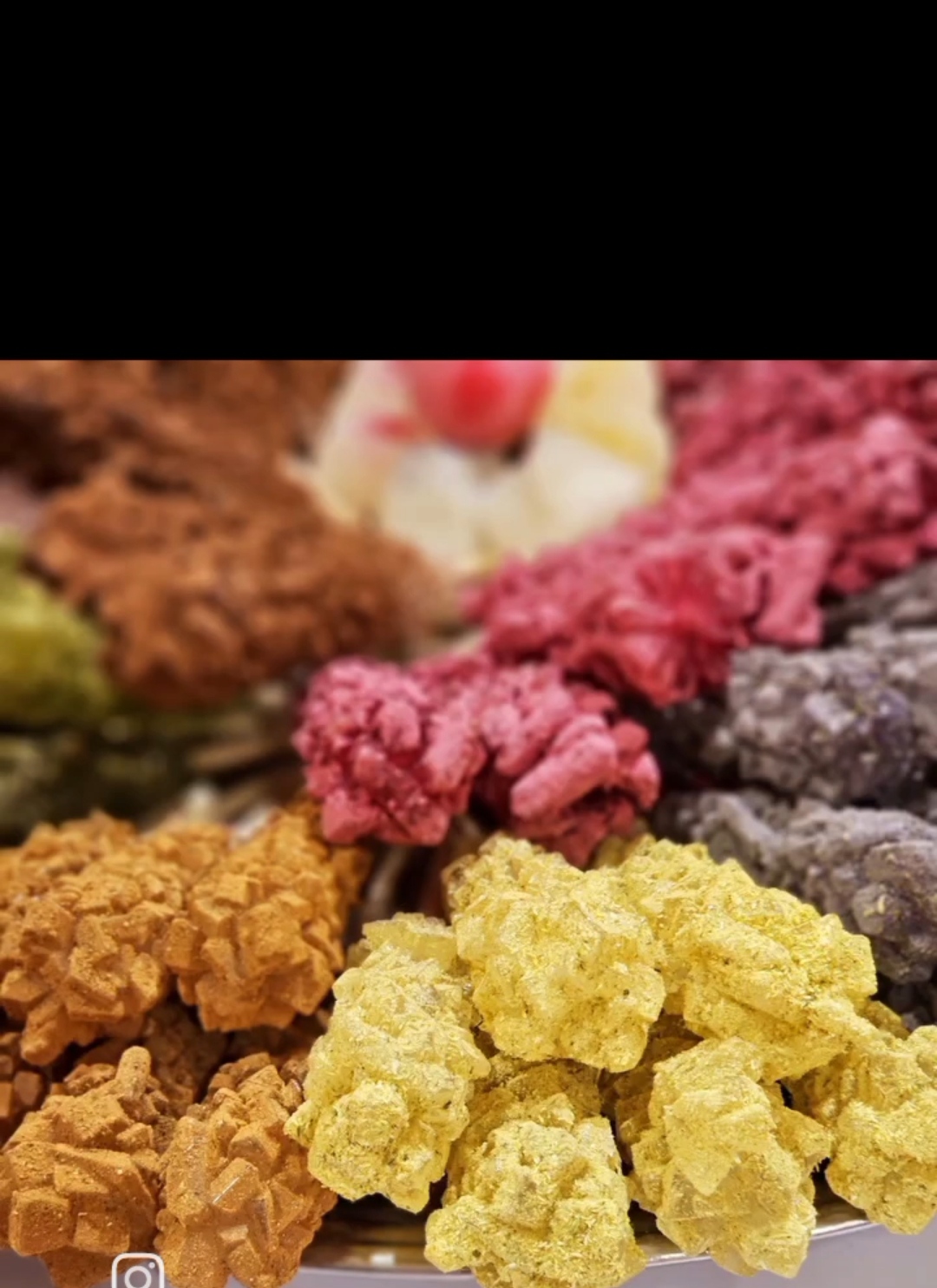 شاخه نبات 