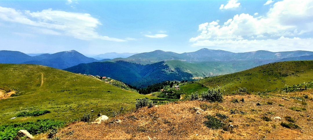 فروش زمین باغ ویلایی