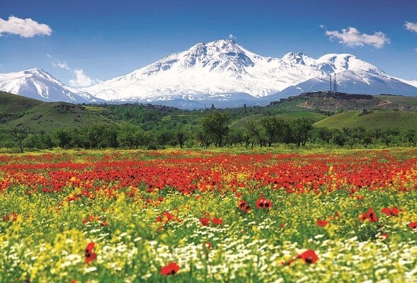 عسل ۴۰گیاه  طبیعی سبلان