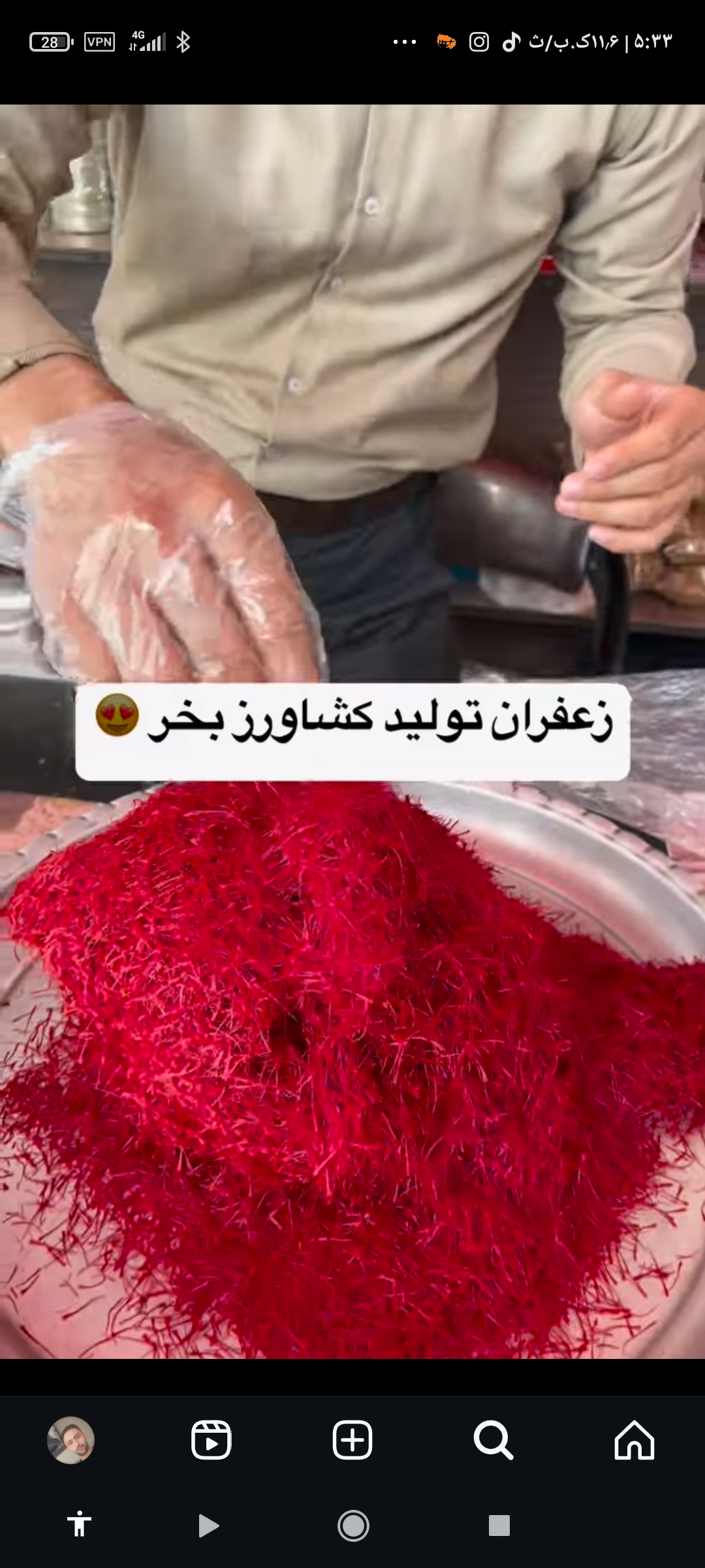 زعفران نگار ایران
