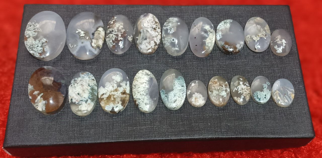 هدیه‌ای از دل طبیعت ایران 