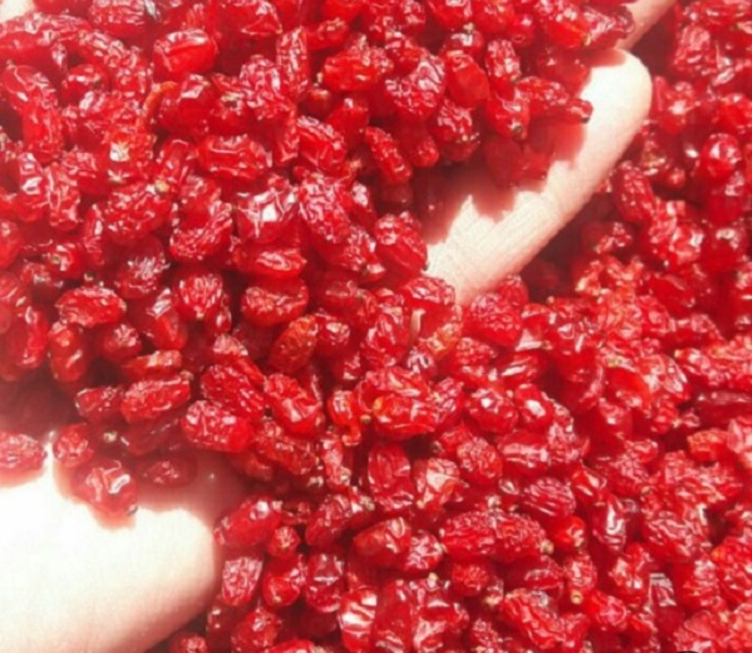 زرشک 