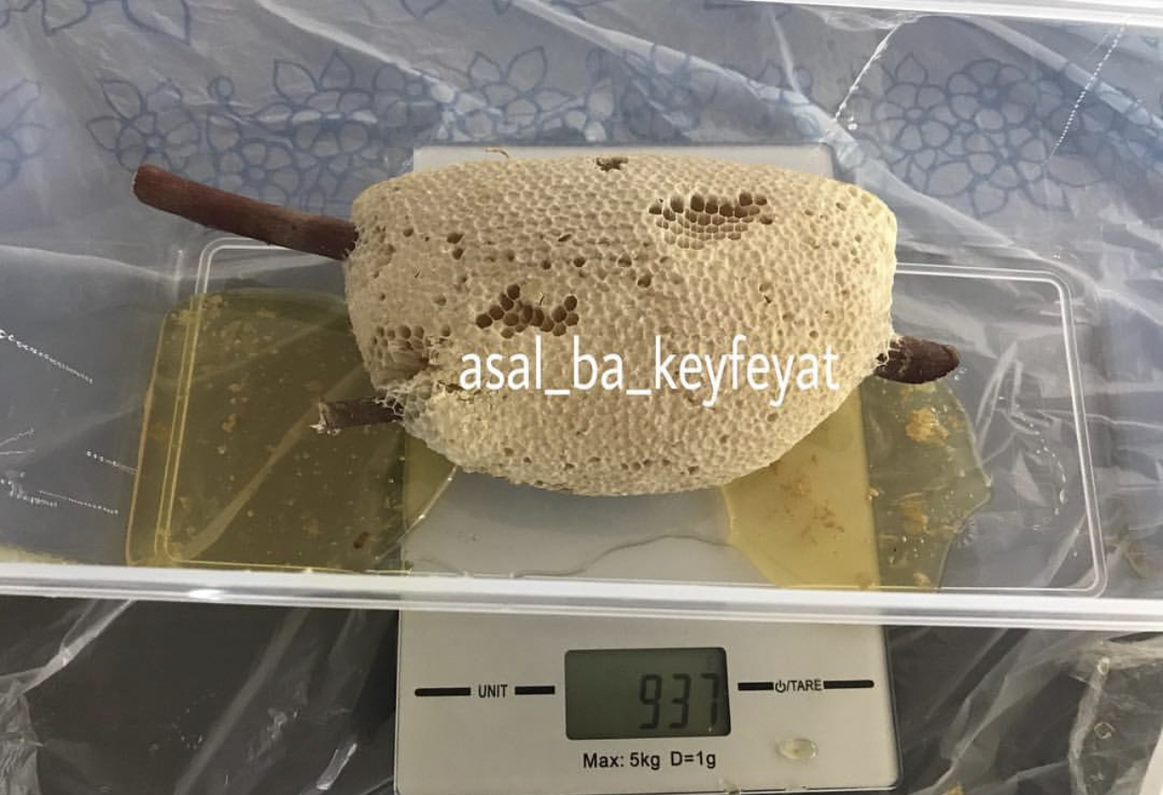 عسل وحشی 