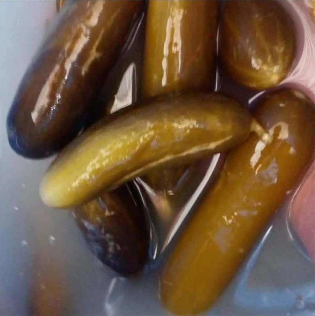 خیارشور اورگانیک