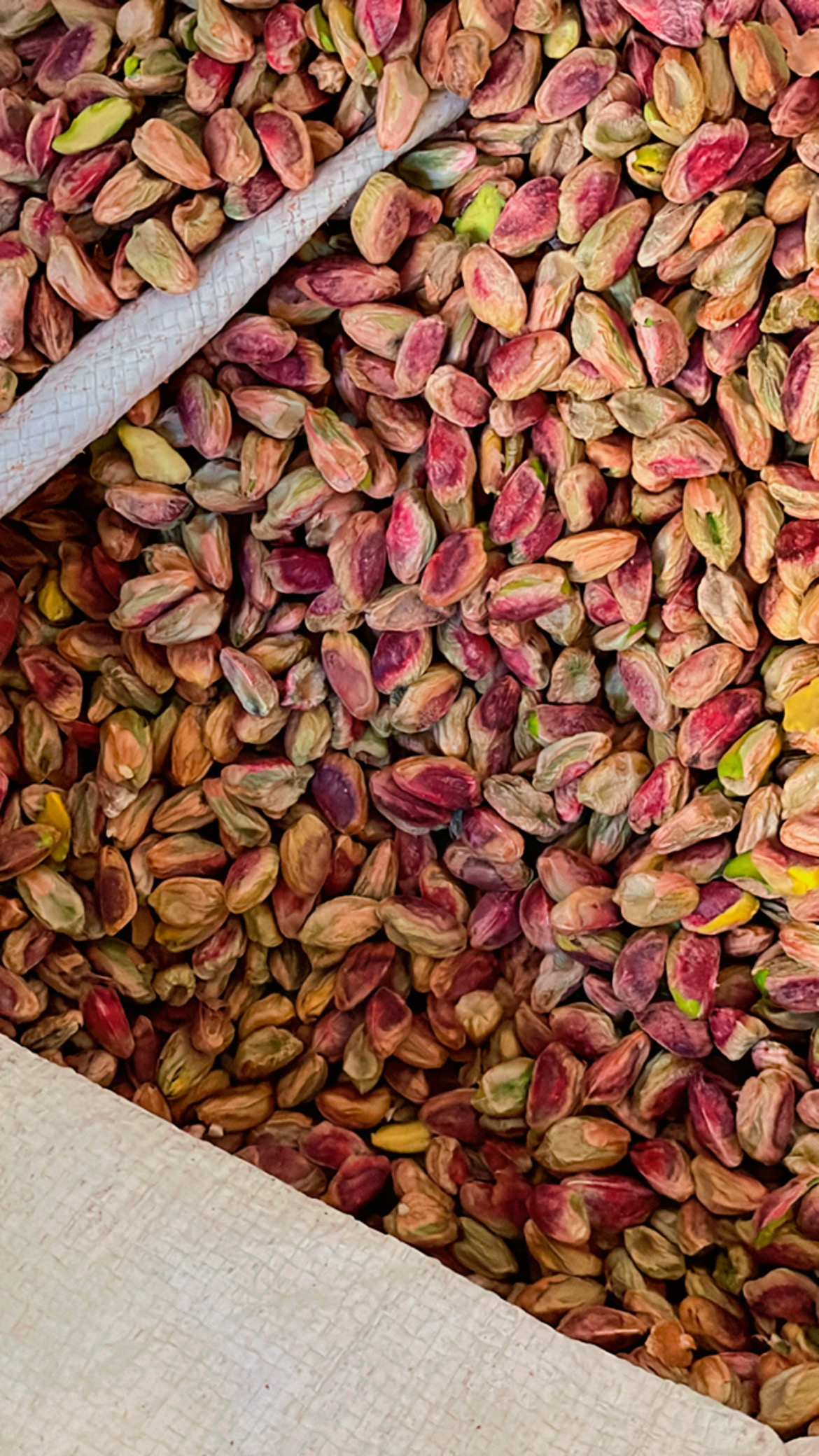 مغز پسته ممتاز خندان 