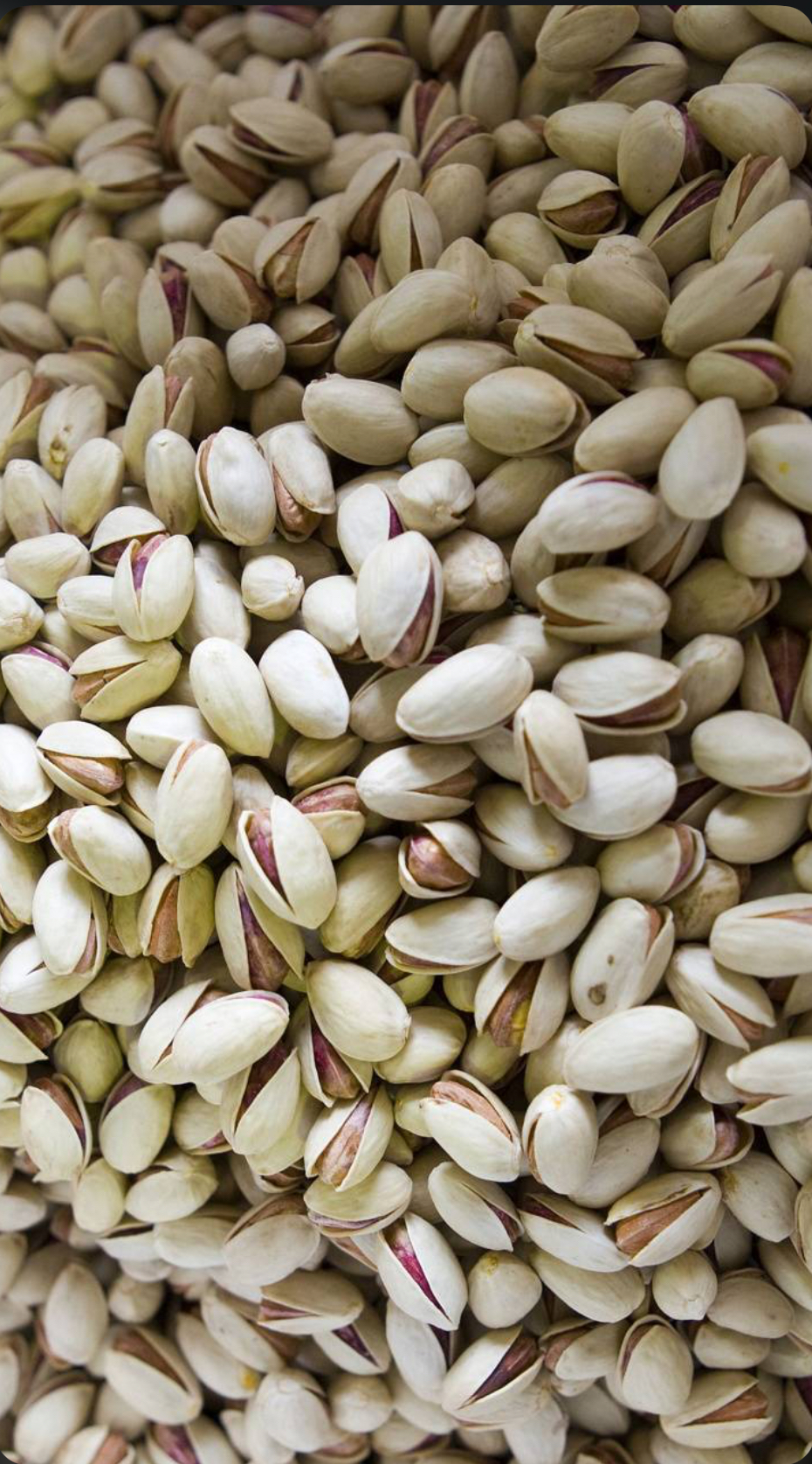 پسته و خشکبار ایرانی در دبی