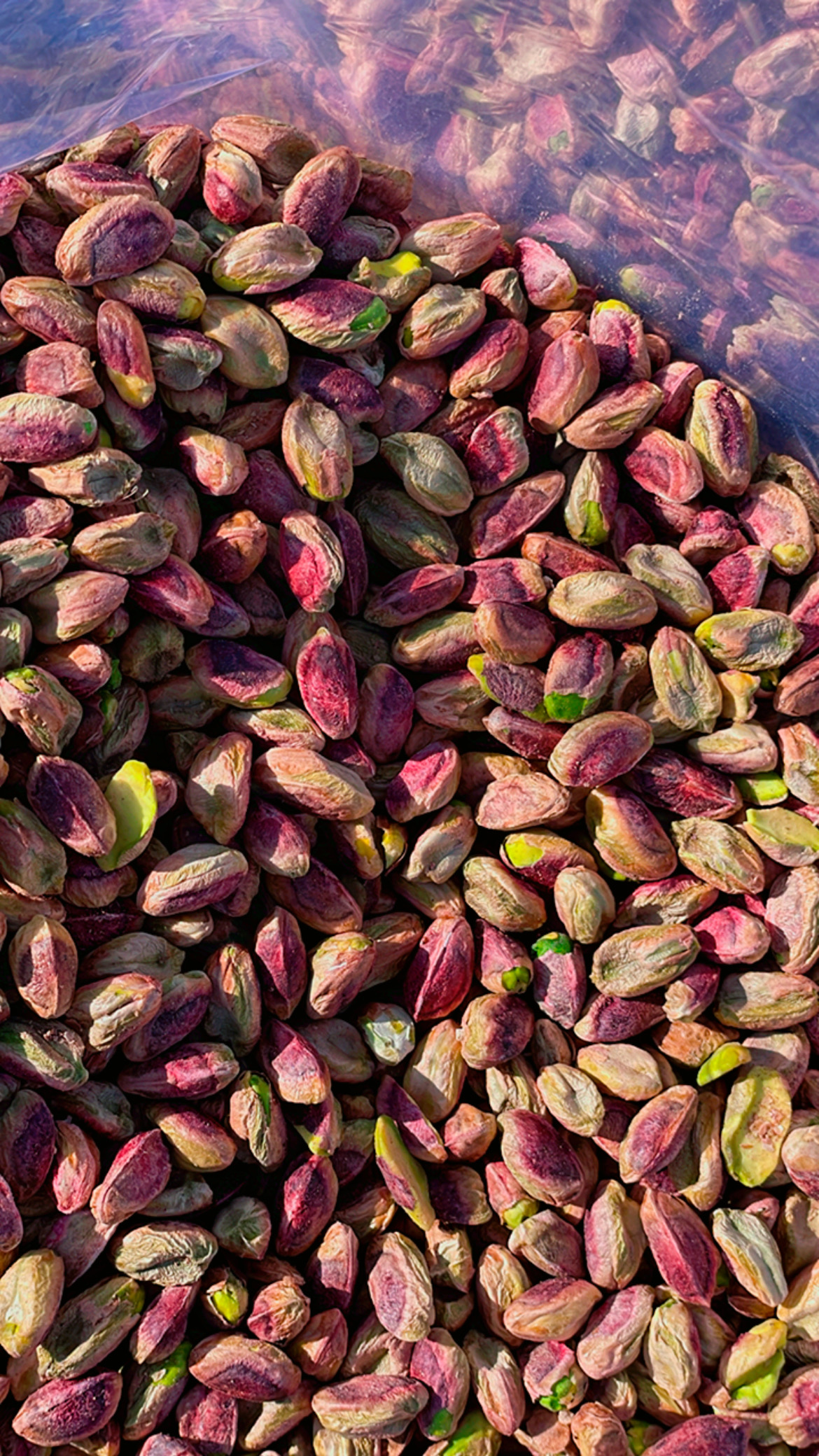 مغز پسته ممتاز خندان 