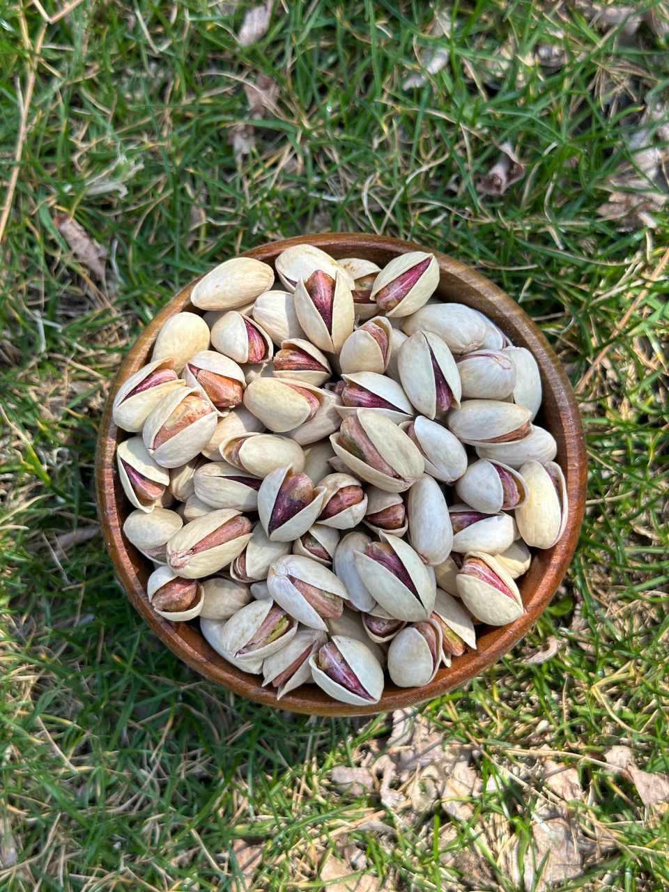 فروش ویژه انواع پسته ایران 