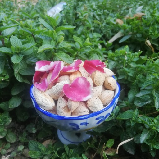 بادام درختی شیرین پوست کاغذی وسنگی