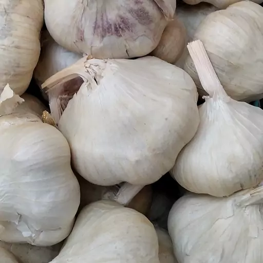سیر خشک همدان 