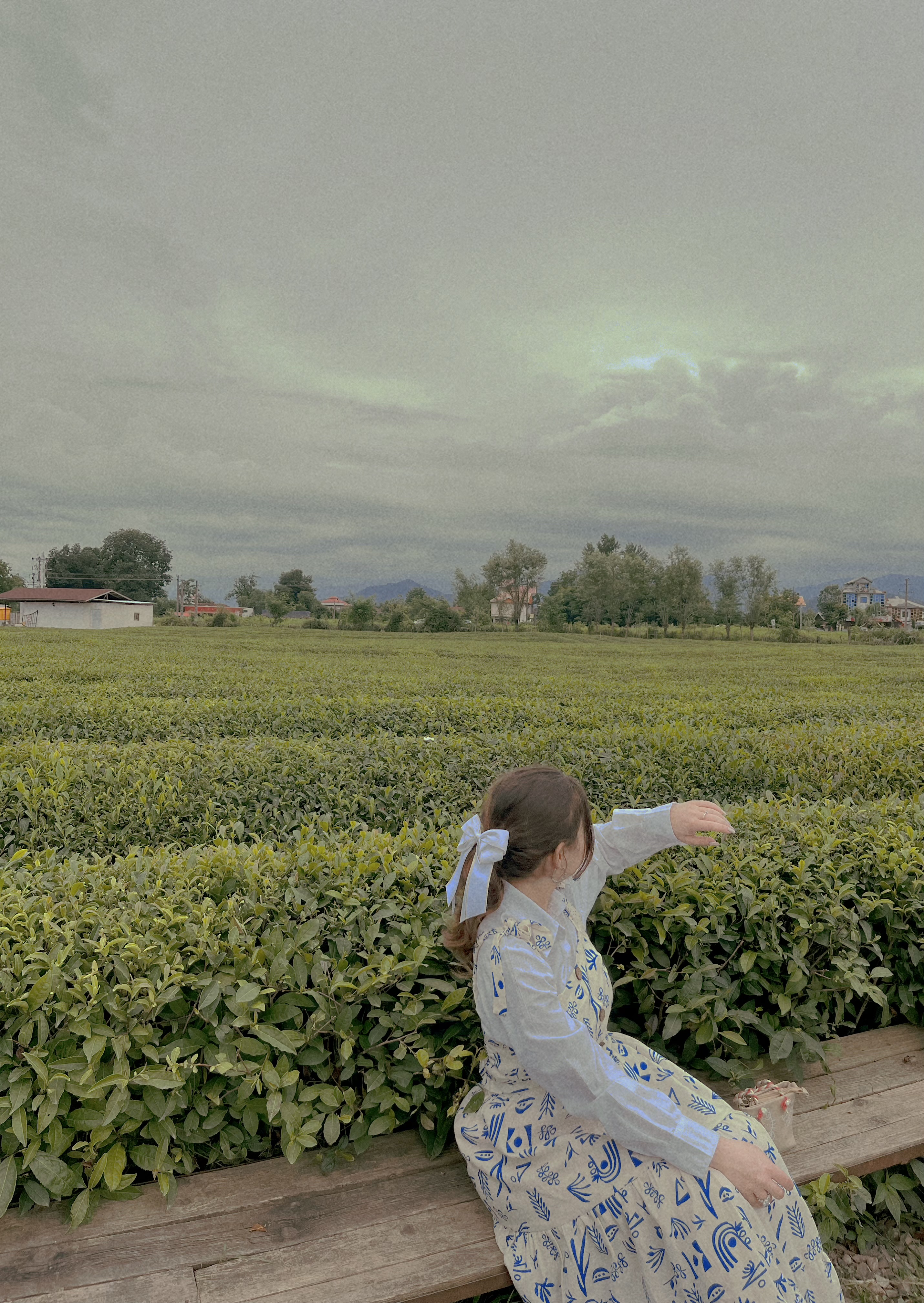 زمین سر سبز زیبا برای فروش در ایران