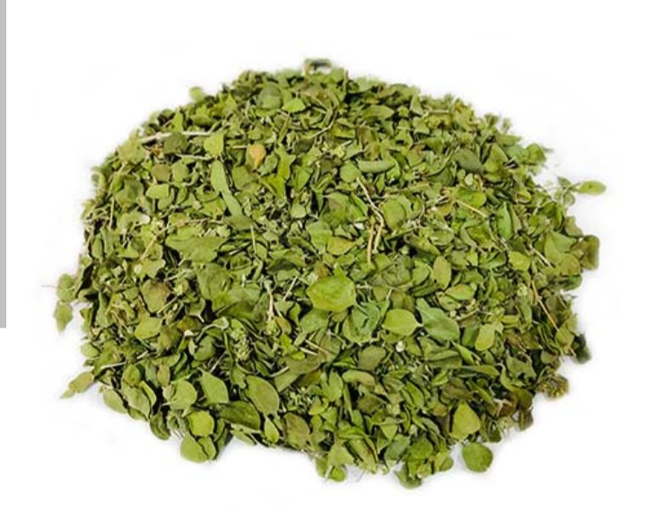 گیاهان دارویی