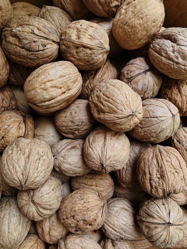 گردو درجه یک