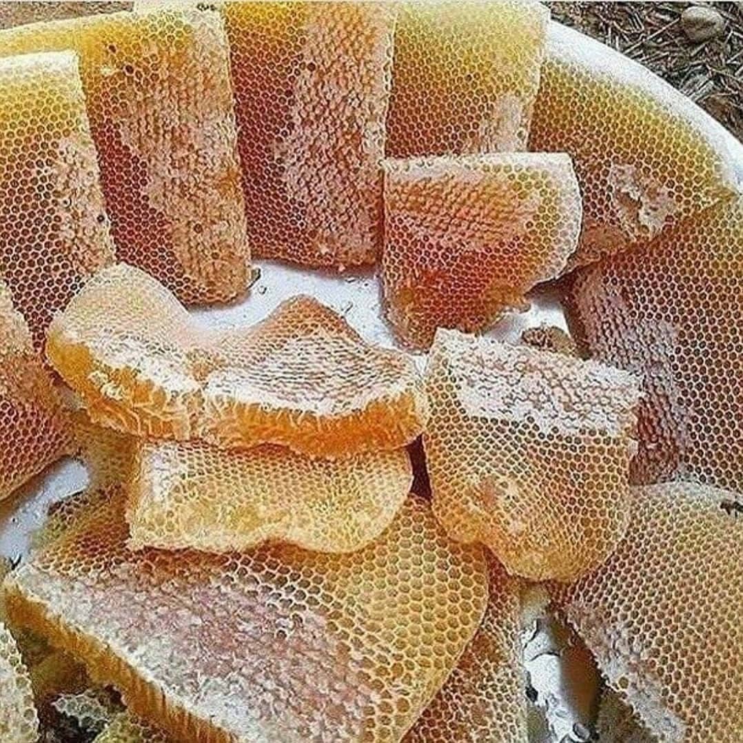 عسل و خشکبار  ناب