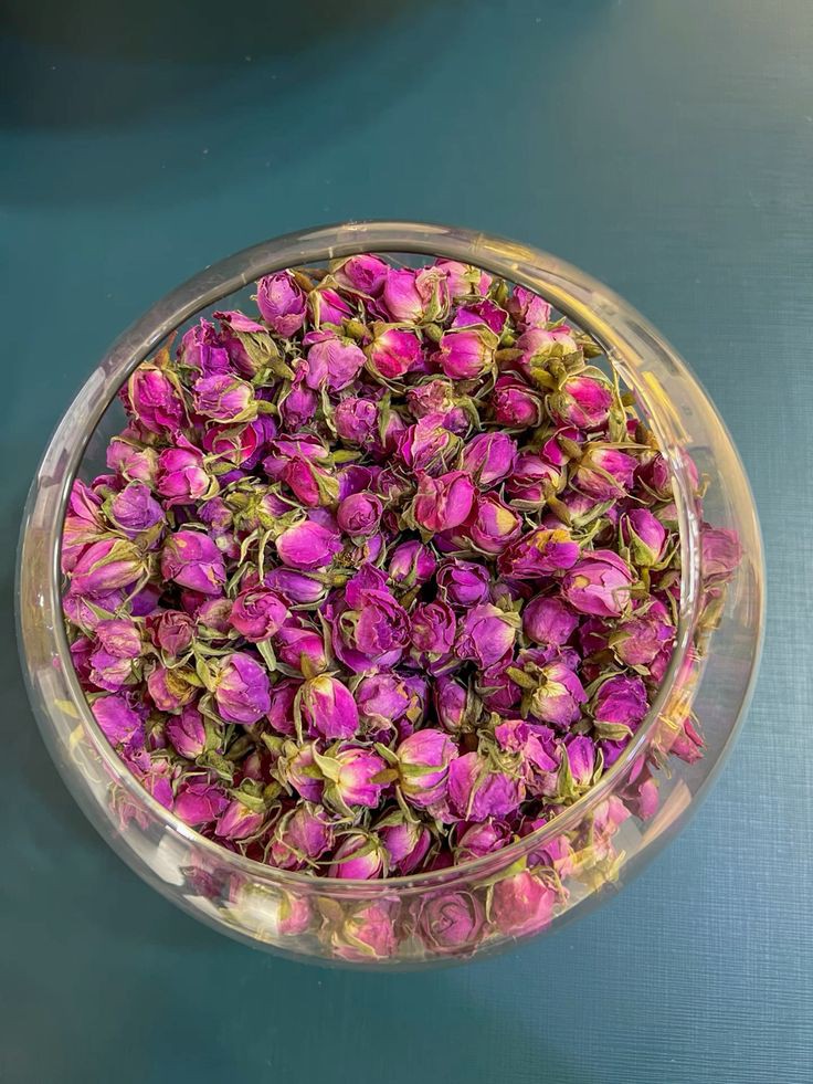گل محمدی