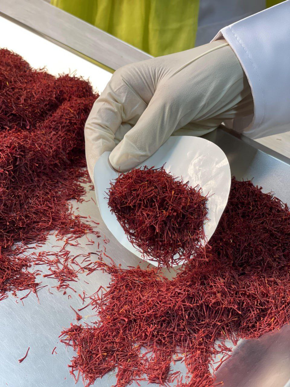 فروش تضمینی زعفران