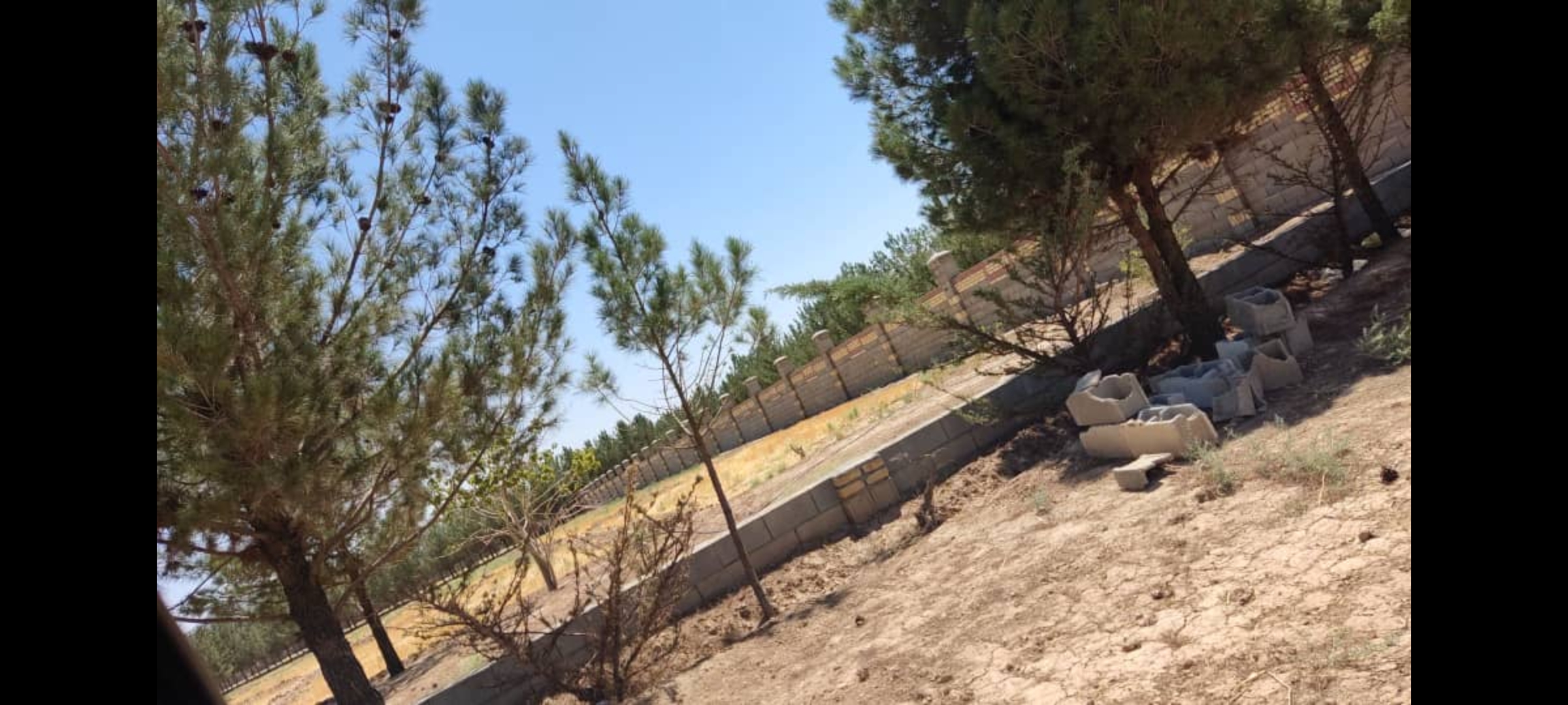 زمین استثنایی 