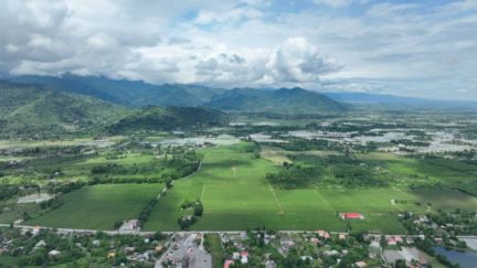 فروش کار خانه و باغ چای