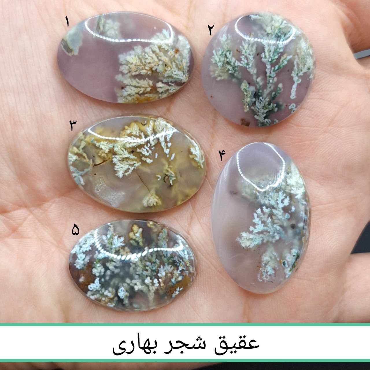 سنگ زینتی