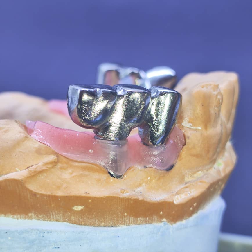 Dental laboratory  