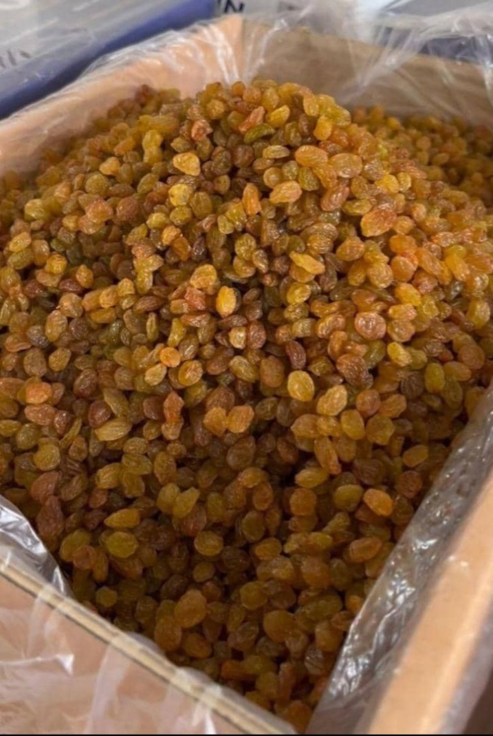 کشمش
