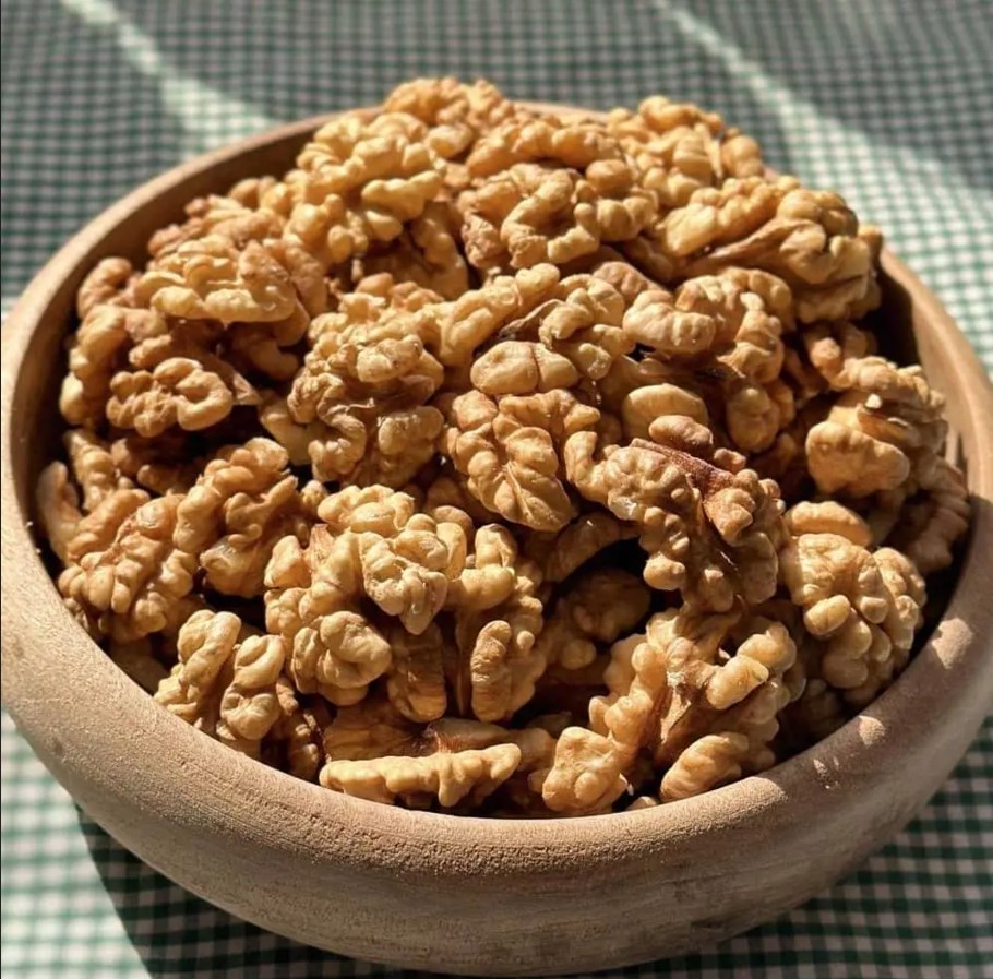 گردو/الجوز