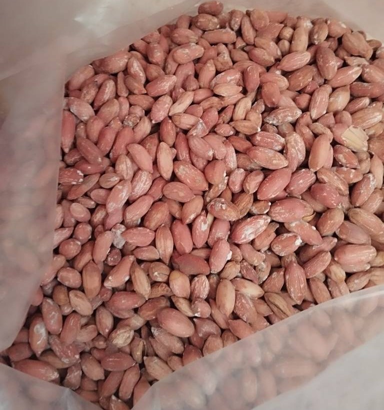 آجیل و خشکبار