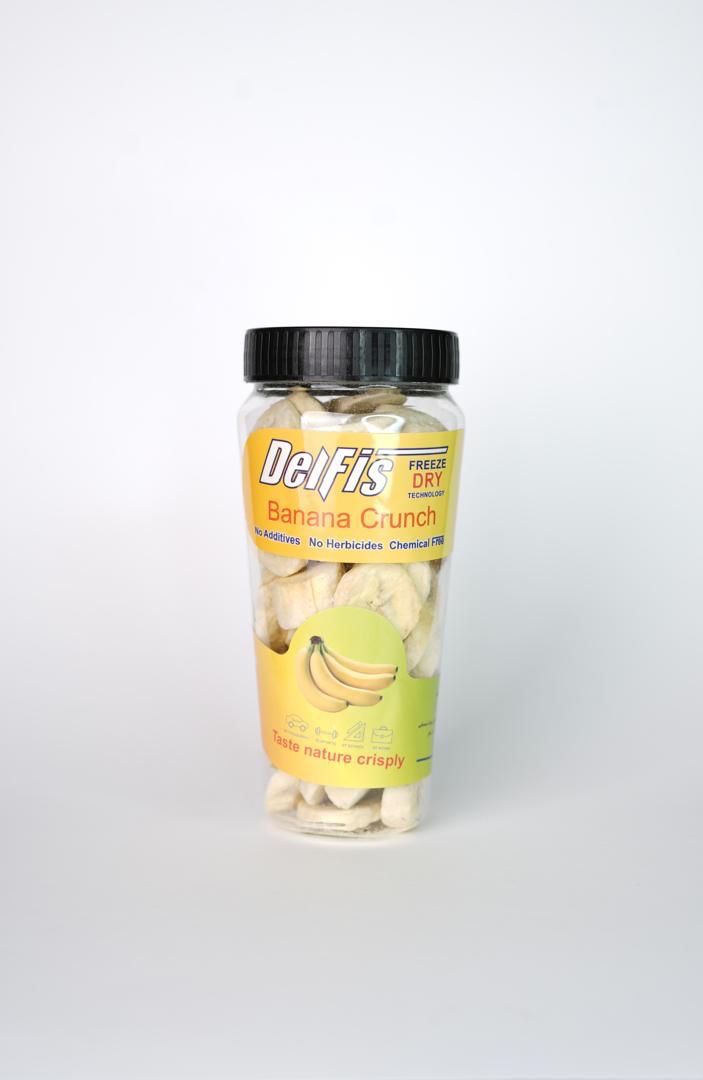 کارخانه تولیدی میوه و بستنی خشک 