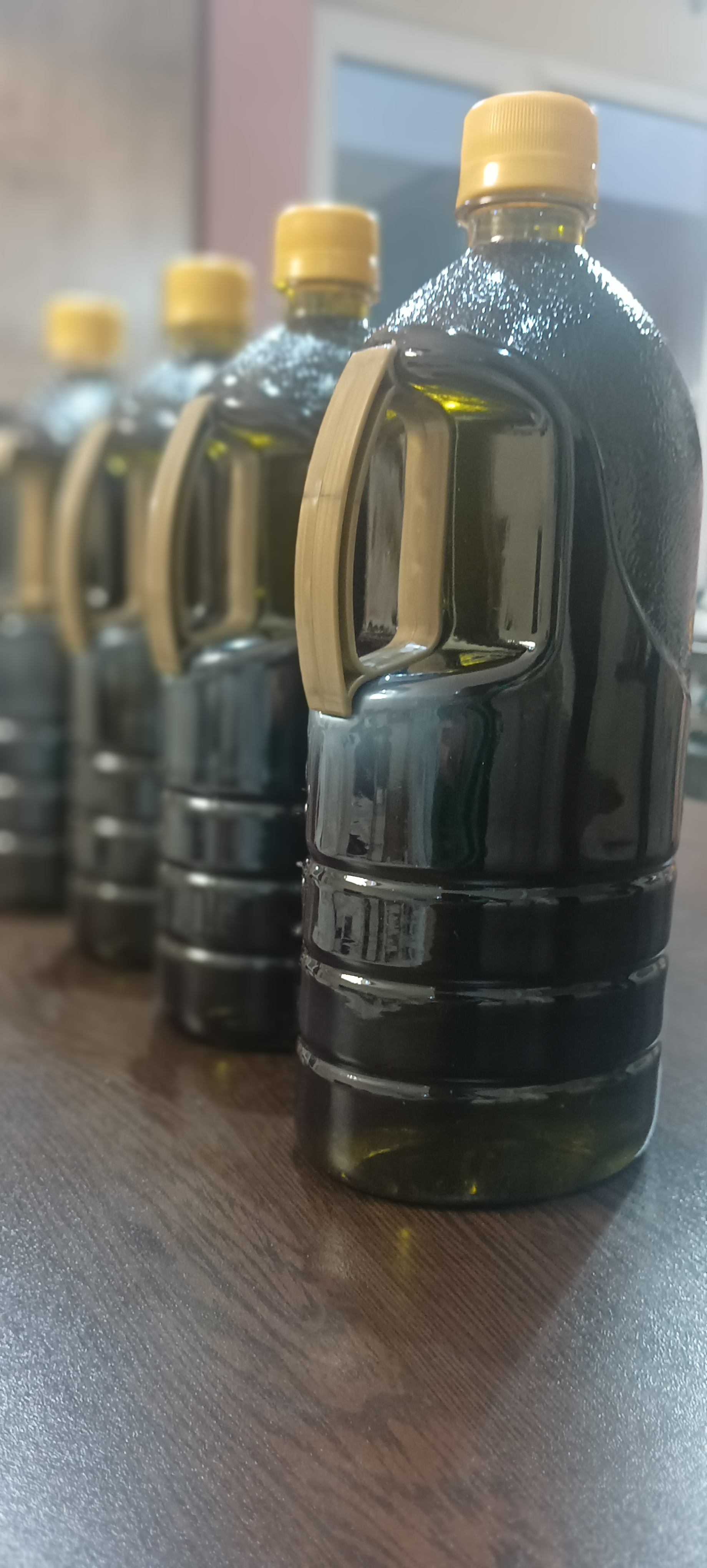 زیتون و روغن زیتون 