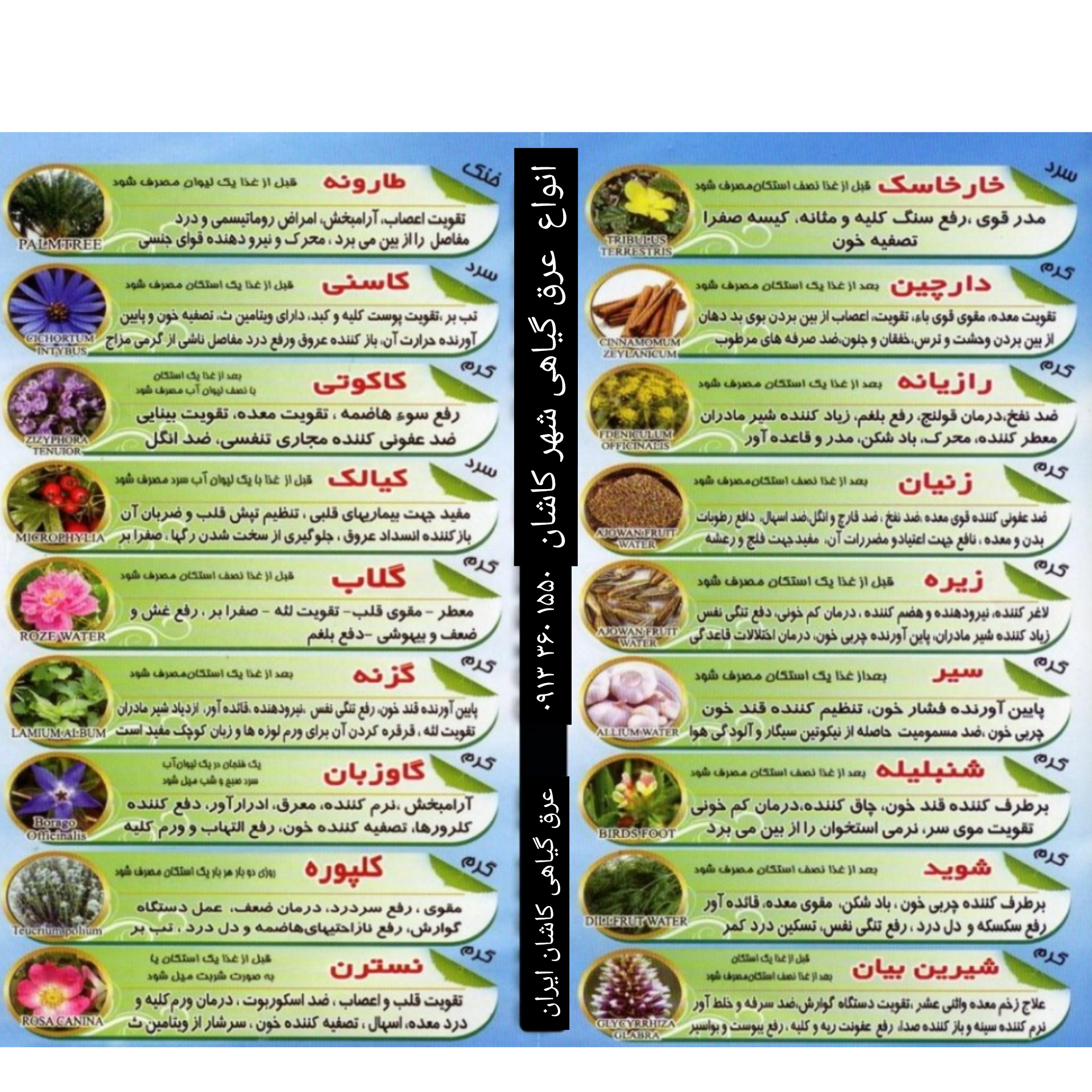 گلاب  ایران کاشان