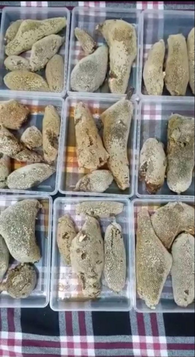 عسل طبیعی