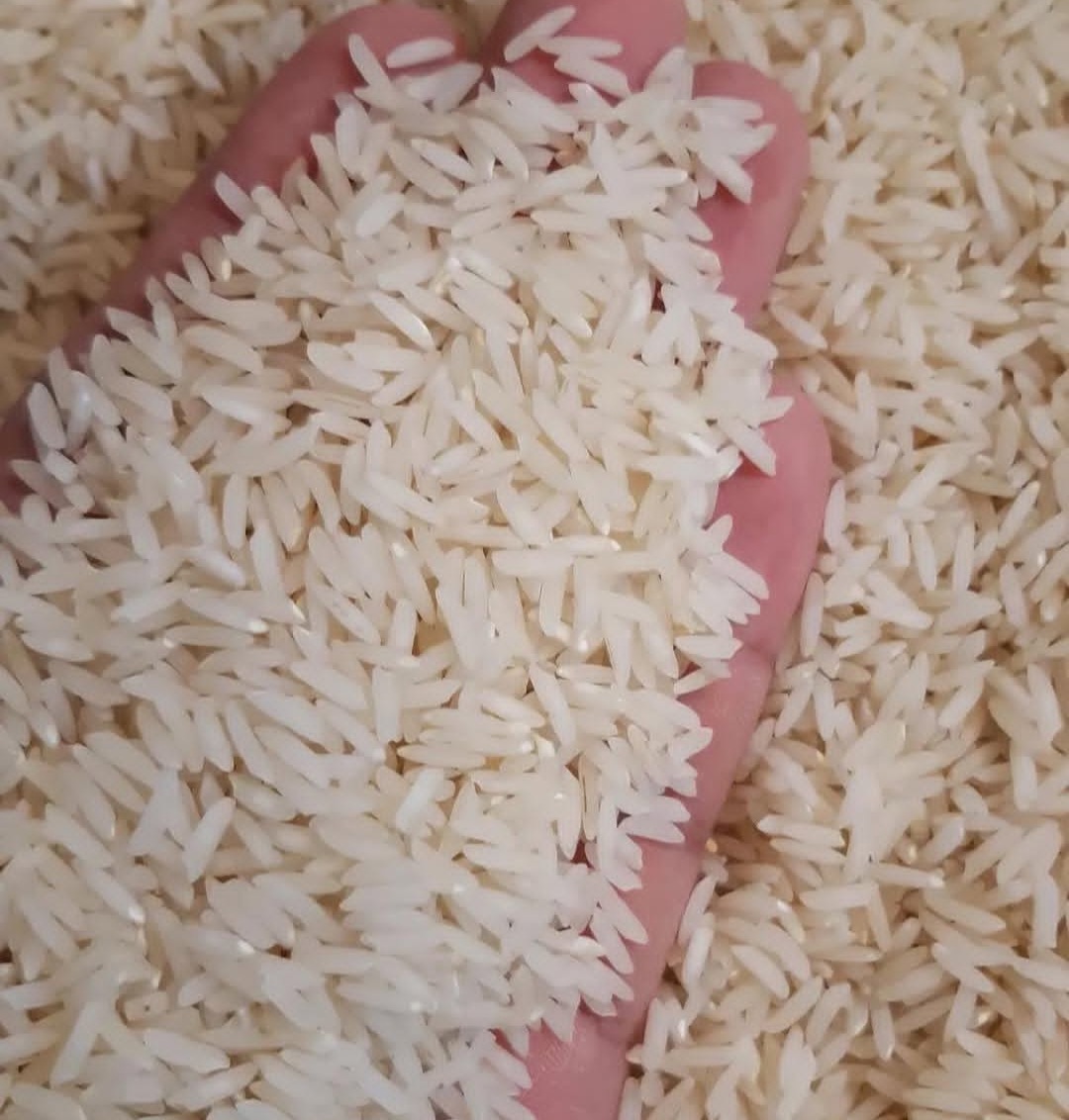 برنج هاشمی اصل ایران