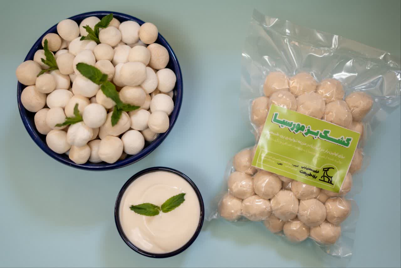 کشک  بز نژاد مورسیا