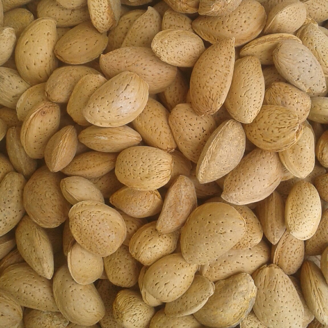 بادام درجه یک ایرانی