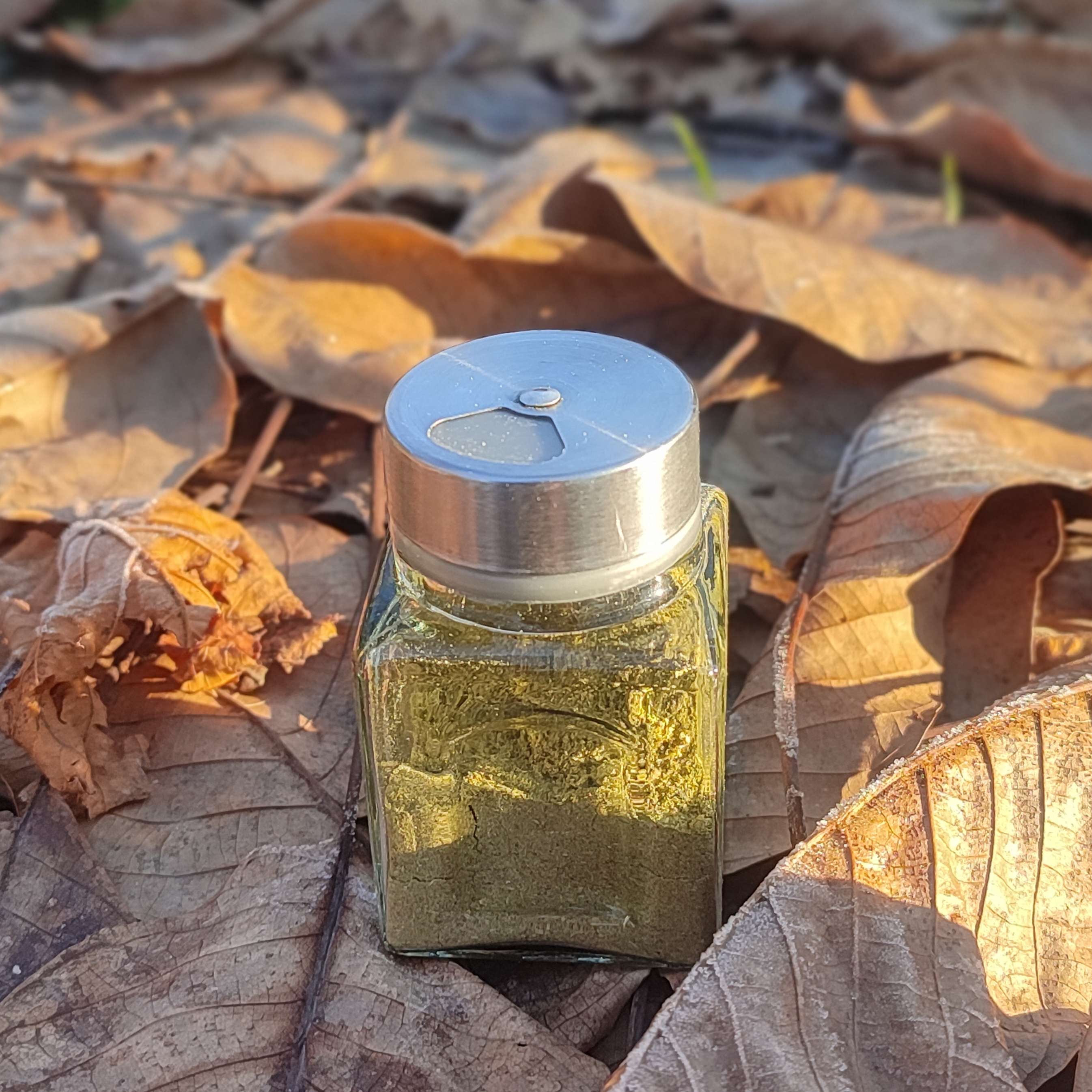 ادویه عربی زعتر