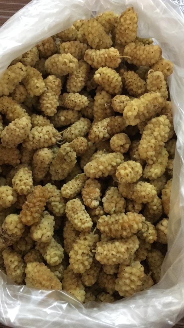 خشکبار گردو توت خشک