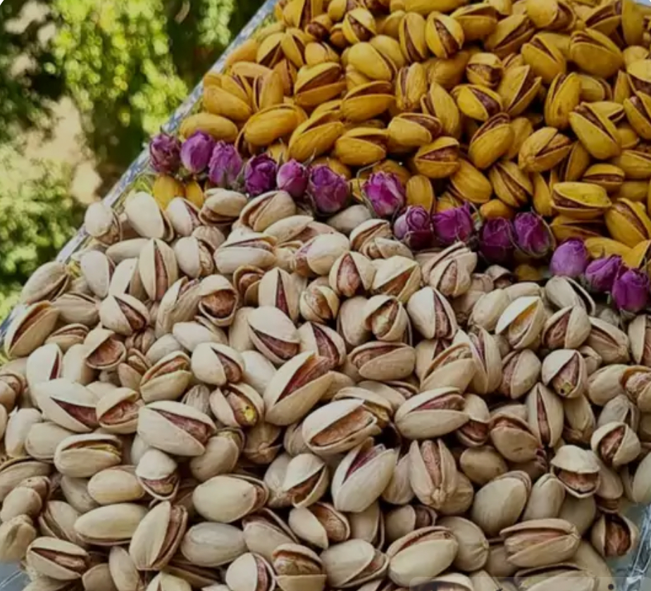 پسته اکبری اعلاء