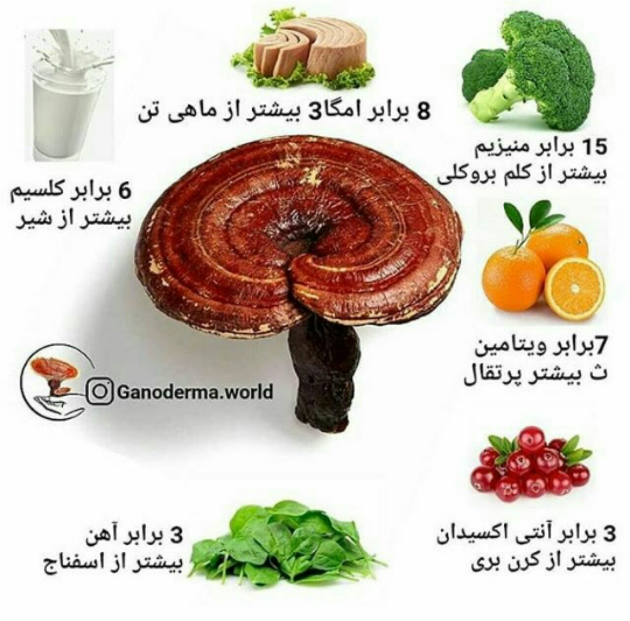 قهوه های گانودرما ضامن سلامتی شما