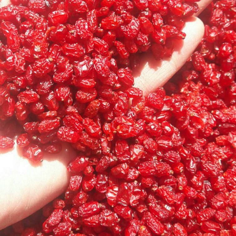 زرشک اعلا درجه یک 