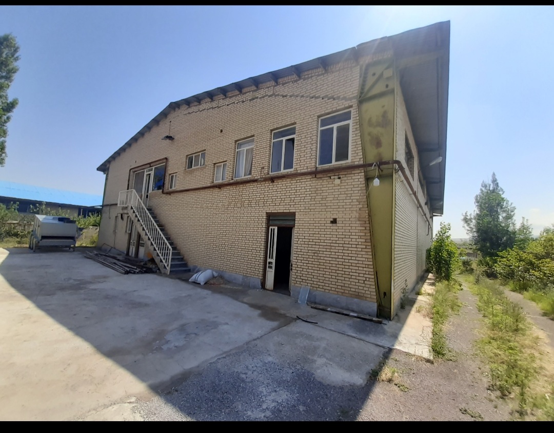 سیب زمینی شسته شده