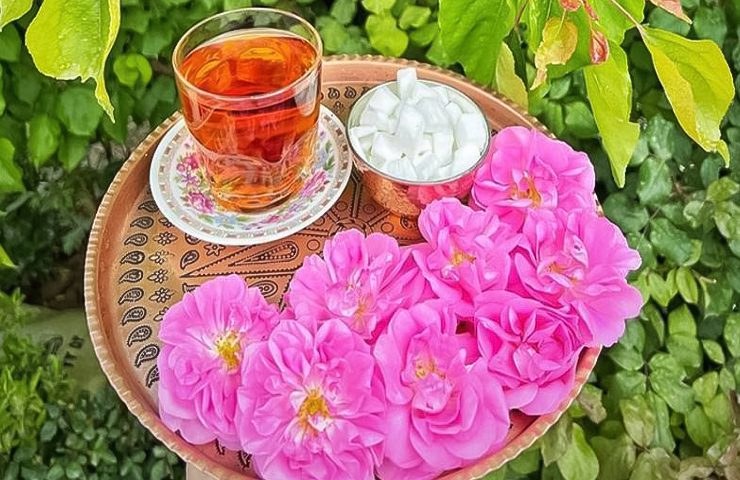 گلاب و عرقیجات گیاهی