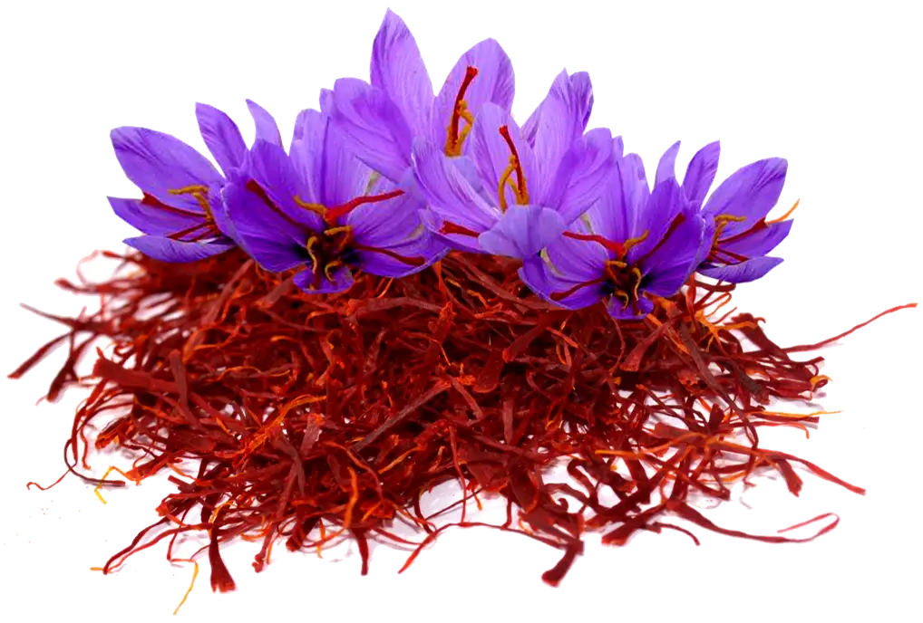 الغفران الفاخر