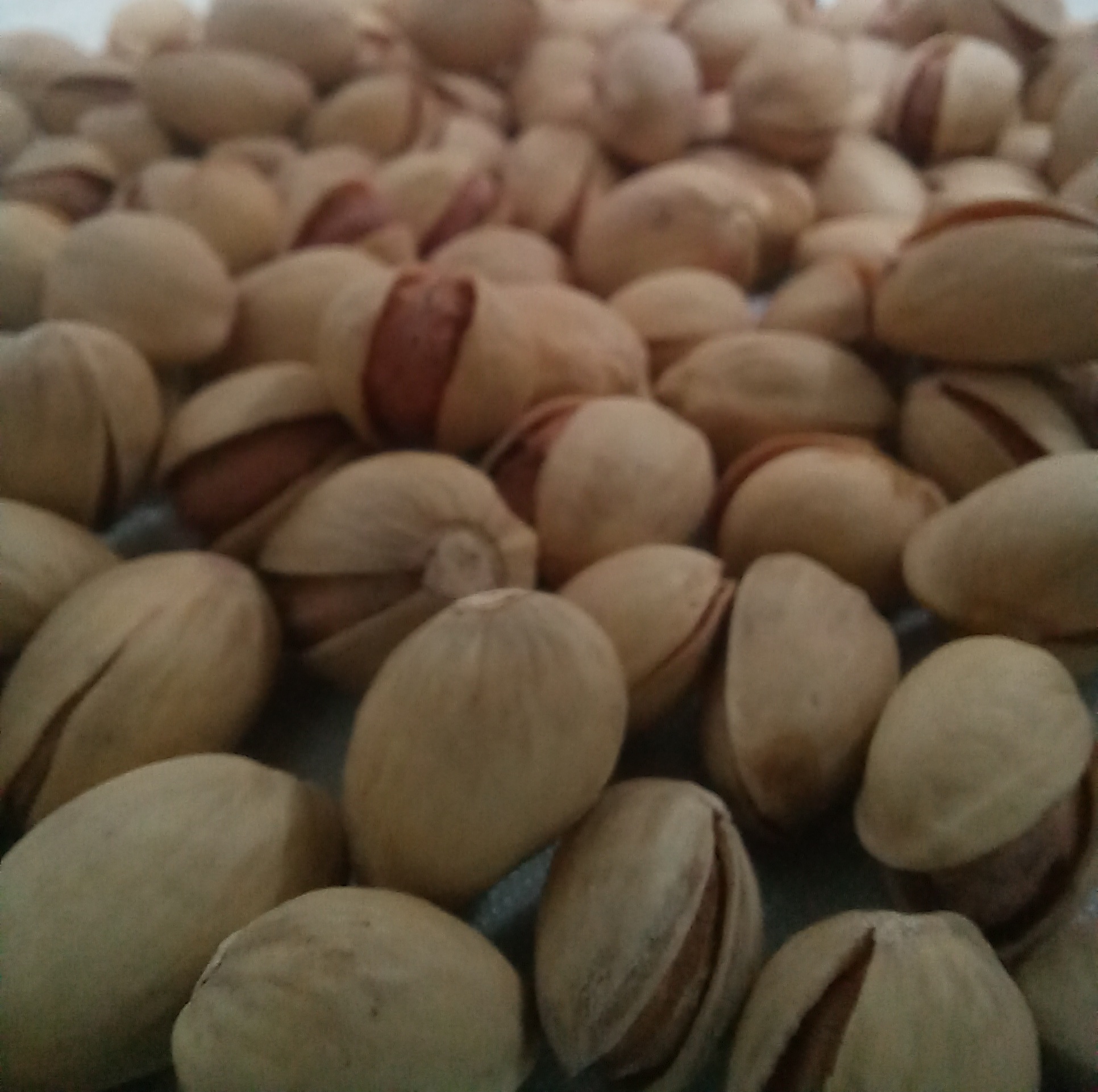 پسته درجه 1 کرمان