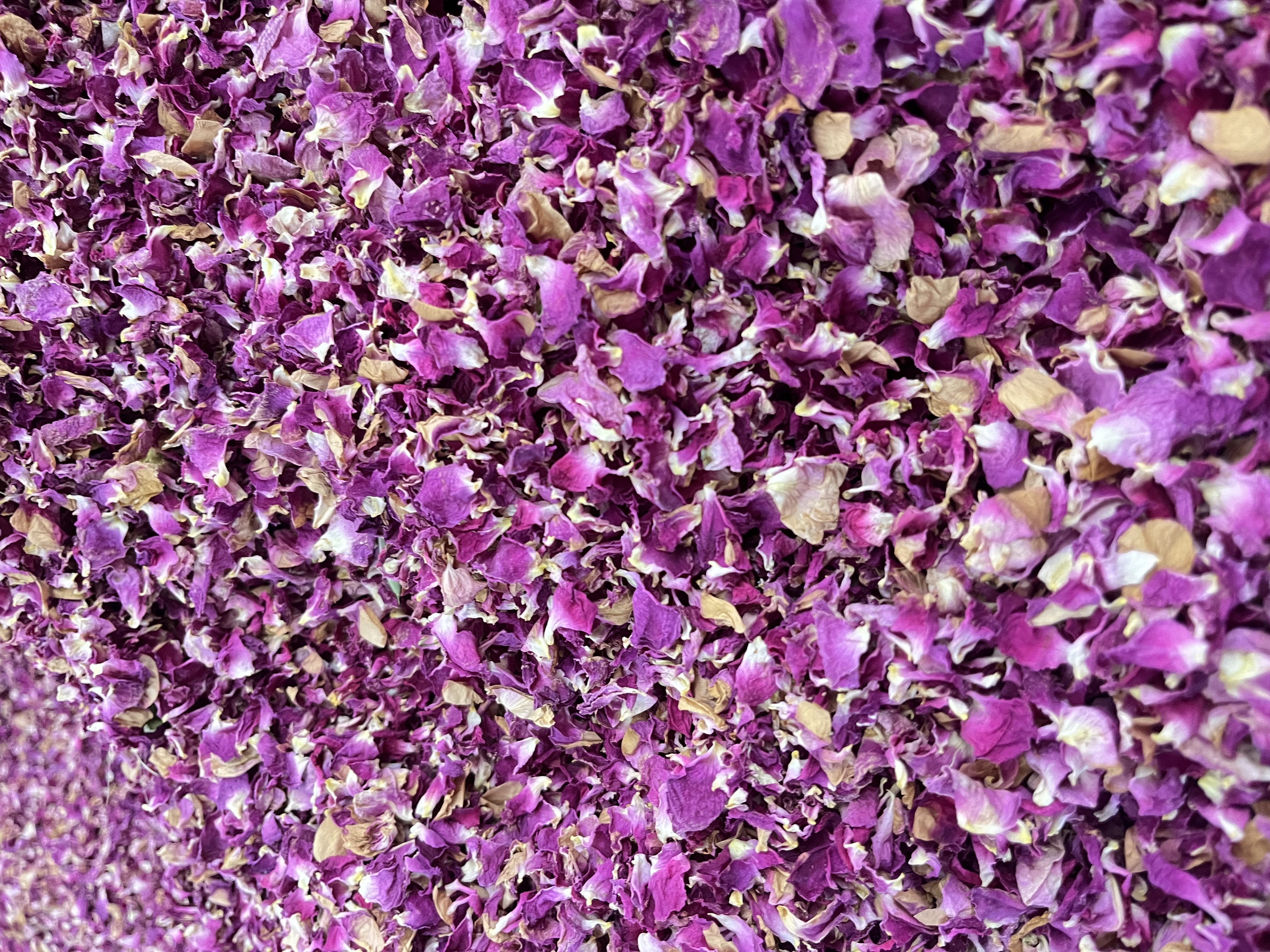 گل محمدی خشک مرغوب